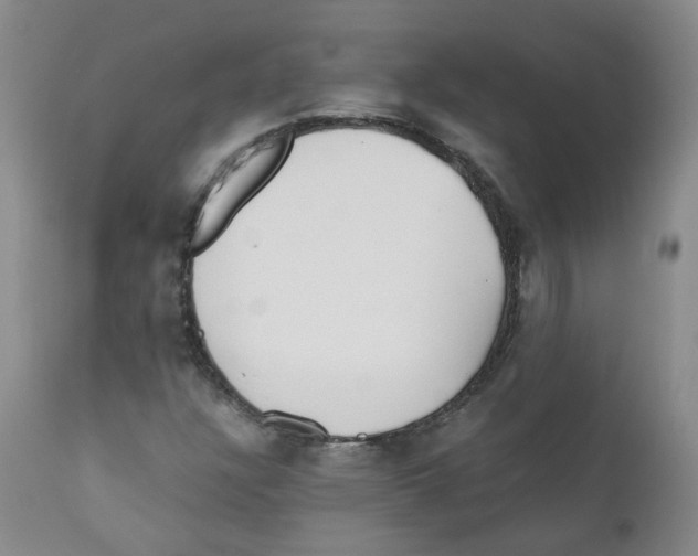 X0000110871304200907161429