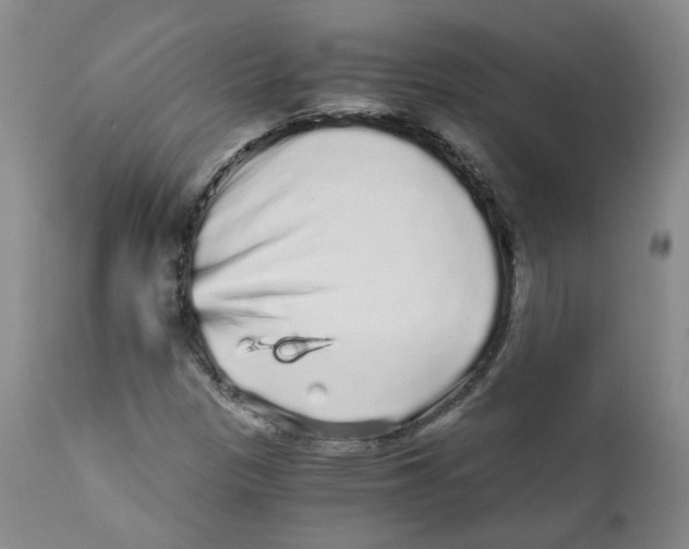 X0000110871305200907161429