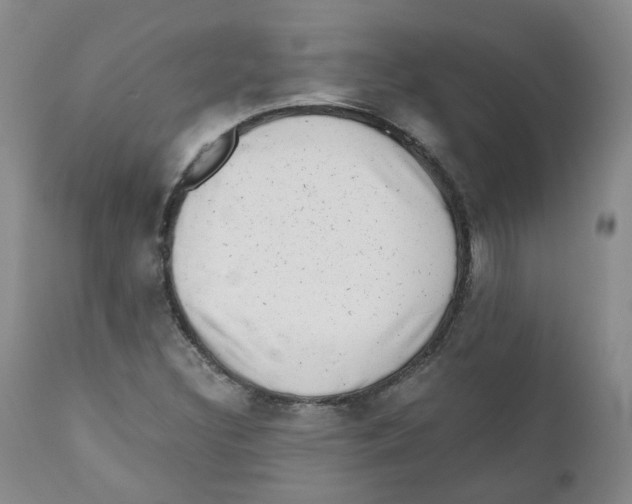 X0000110871308200907161429