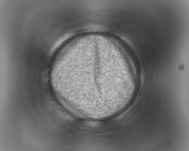 X0000110871309200907161429