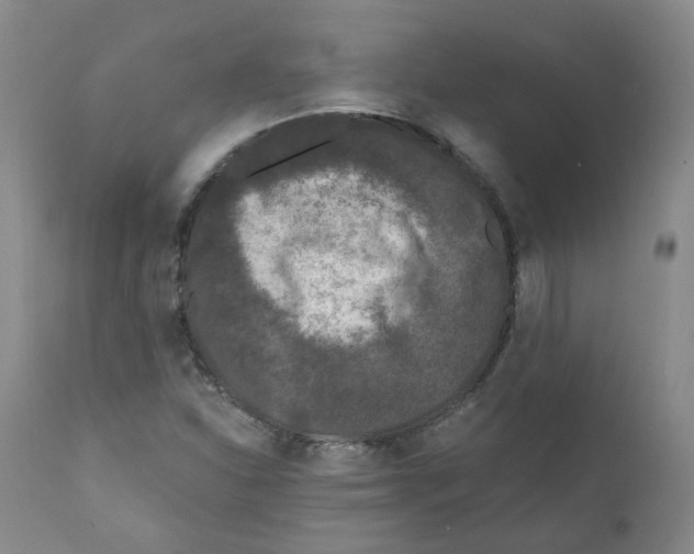 X0000110871310200907161429