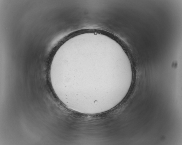 X0000110871311200907161429