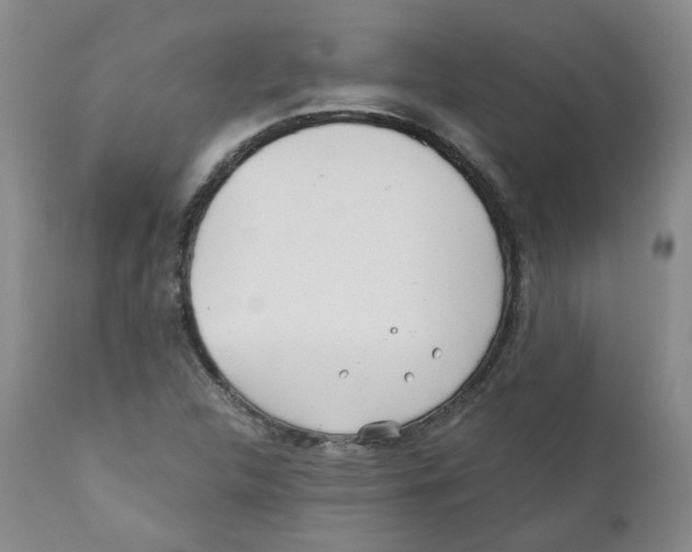 X0000110871312200907161429