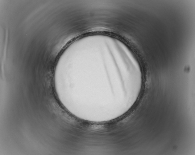 X0000110871313200907161429