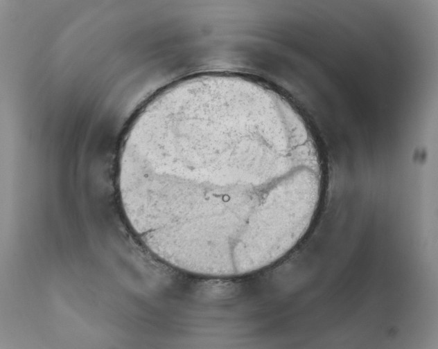 X0000110871314200907161429