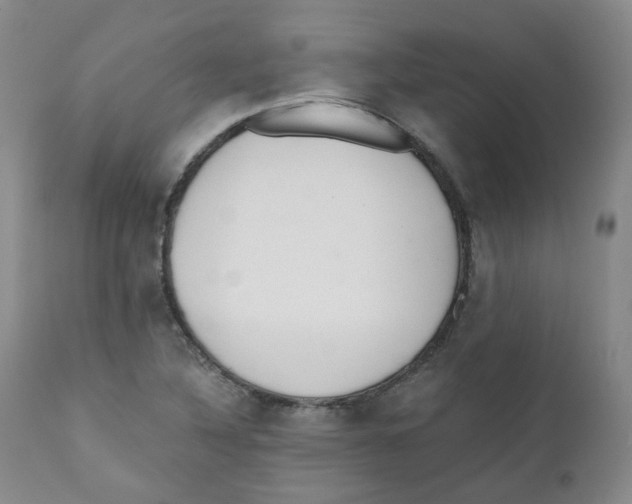 X0000110871316200907161429