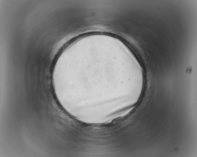 X0000110871318200907161429