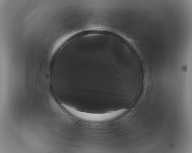 X0000110871319200907161429