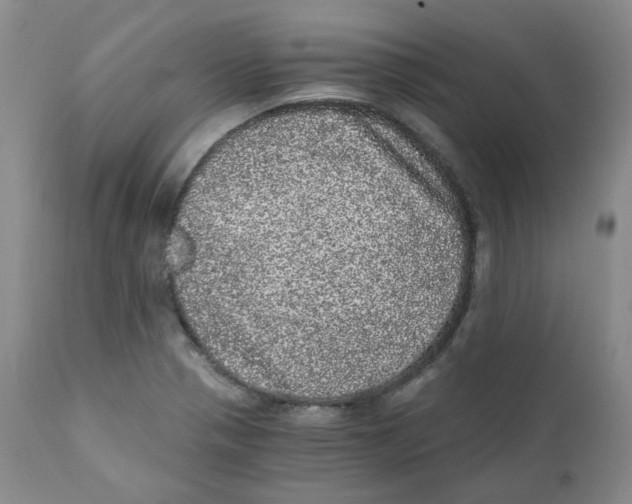 X0000110871321200907161429