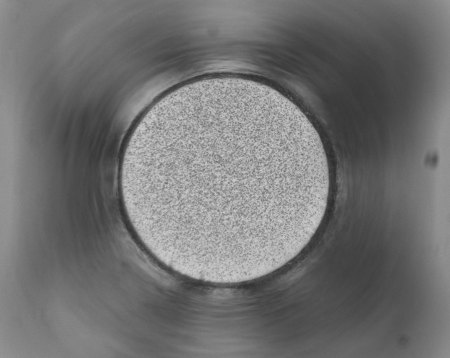 X0000110871322200907161429