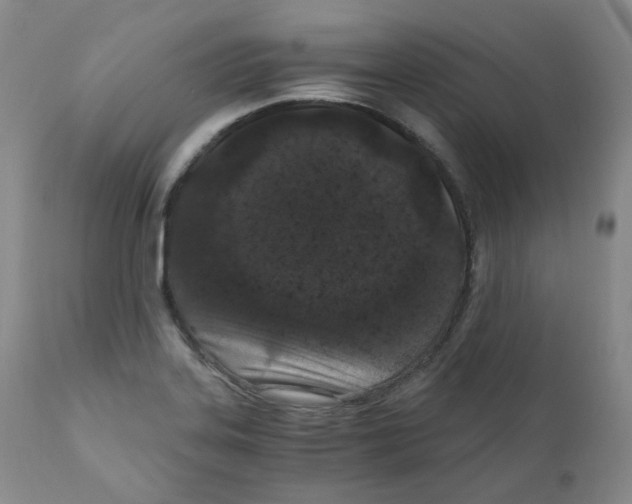 X0000110871323200907161429