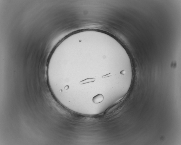 X0000110871324200907161429