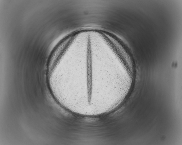 X0000110871325200907161429