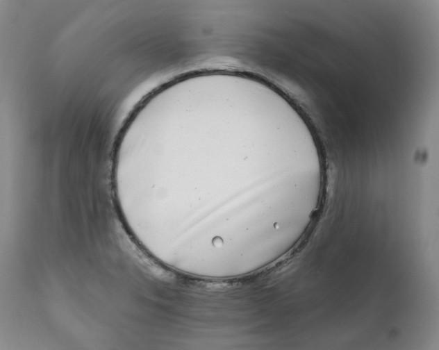 X0000110871326200907161429