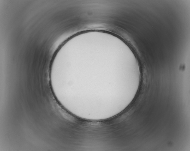 X0000110871328200907161429