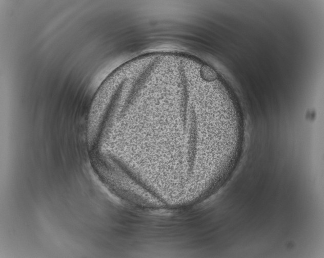 X0000110871329200907161429