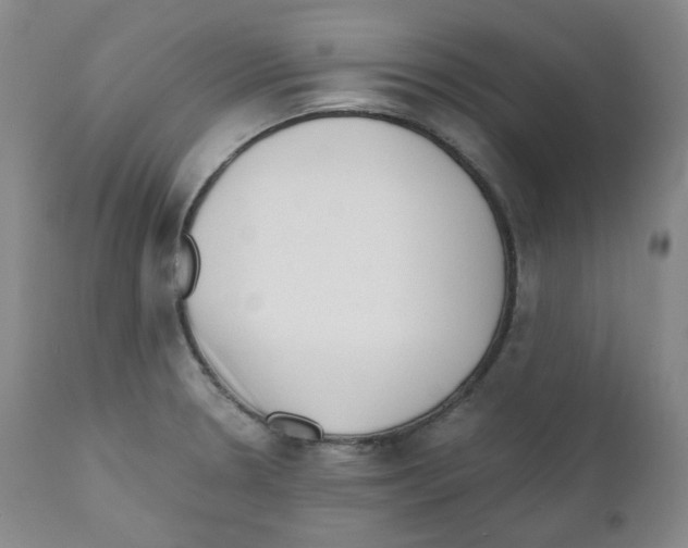 X0000110871330200907161429