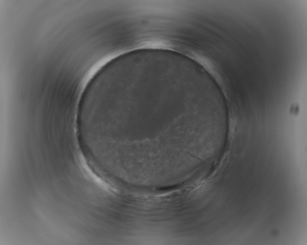 X0000110871331200907161429