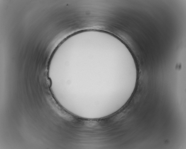 X0000110871332200907161429