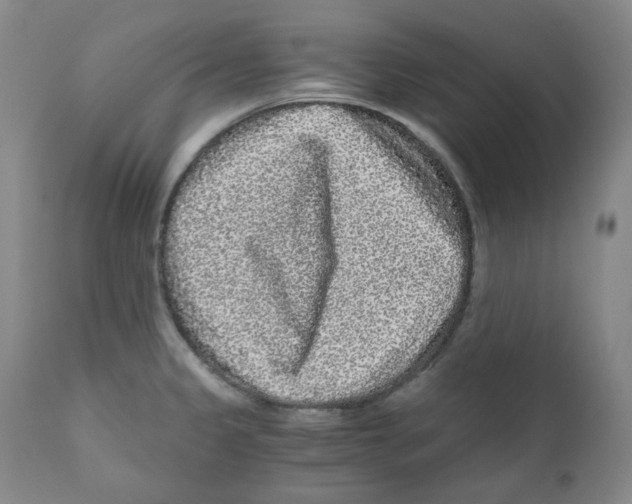 X0000110871333200907161429