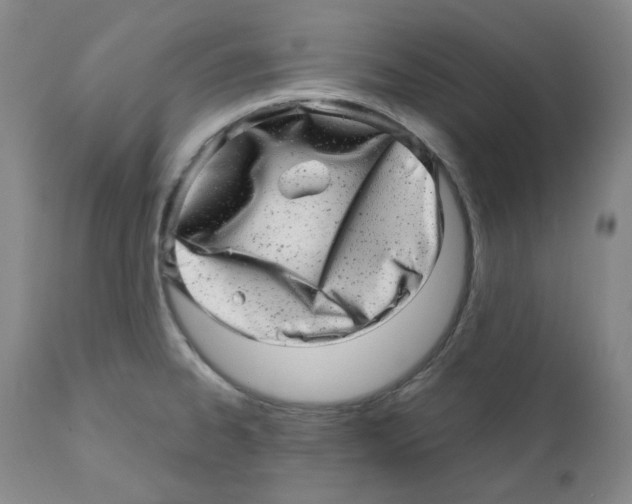 X0000110871334200907161429