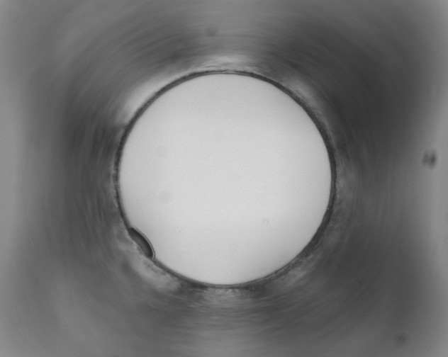 X0000110871336200907161429