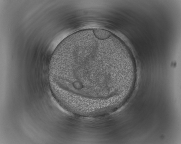 X0000110871337200907161429