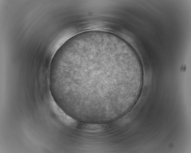 X0000110871338200907161429