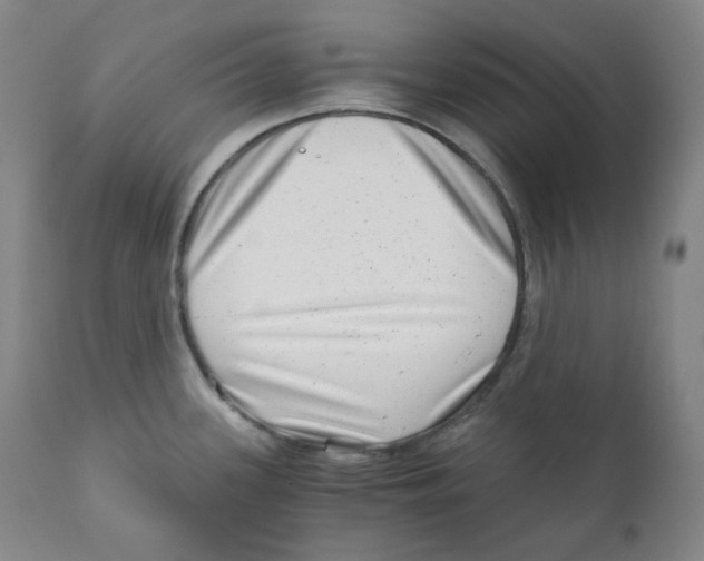 X0000110871339200907161429