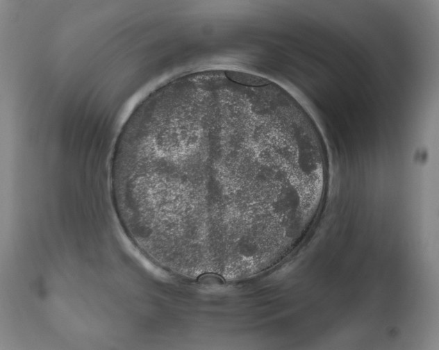 X0000110871341200907161429