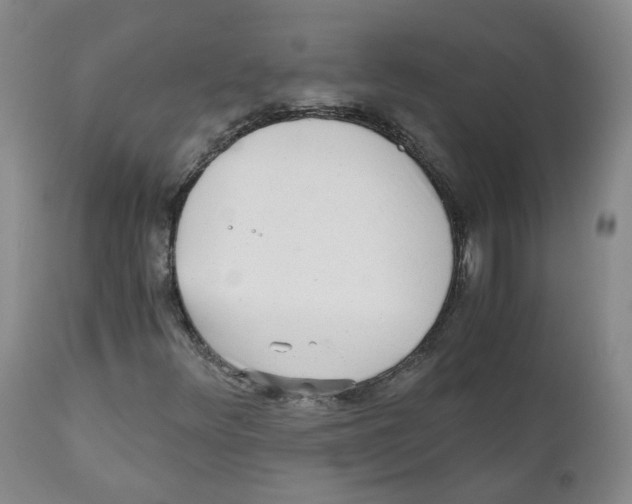 X0000110871348200907161429