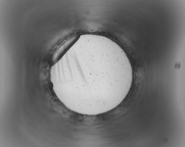 X0000110871349200907161429