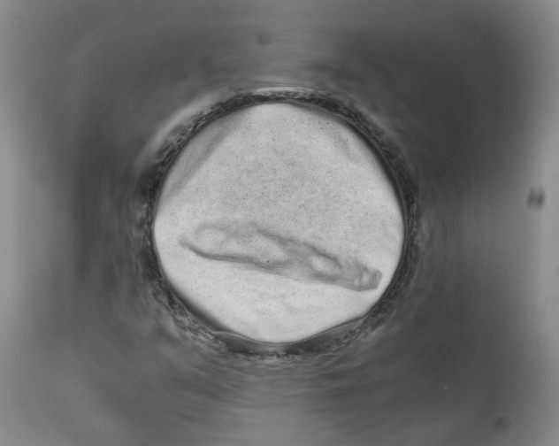 X0000110871351200907161429