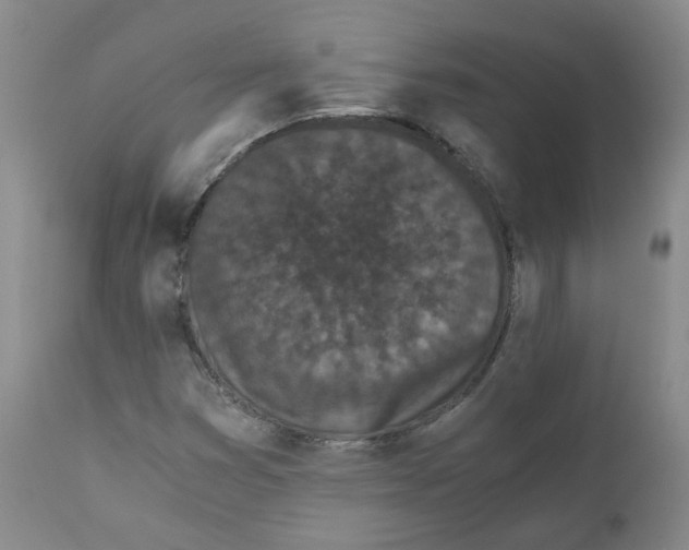 X0000110871353200907161429