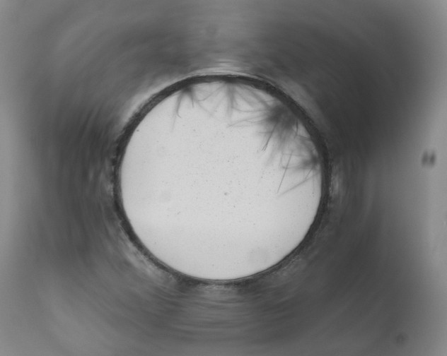 X0000110871356200907161429