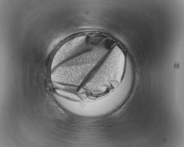 X0000110871357200907161429