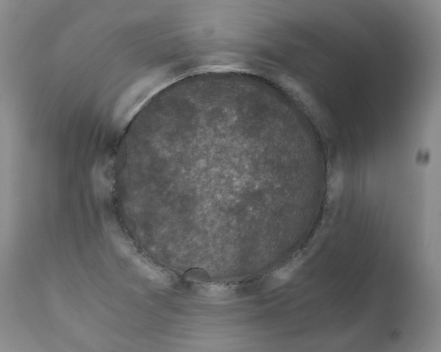 X0000110871361200907161428