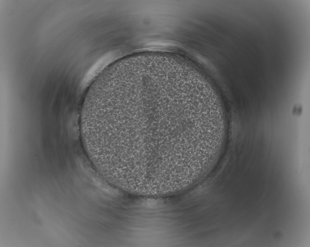 X0000110871362200907161428