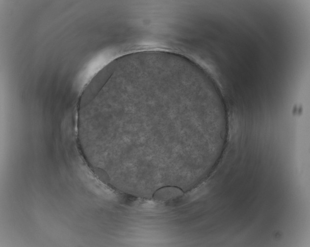 X0000110871365200907161428