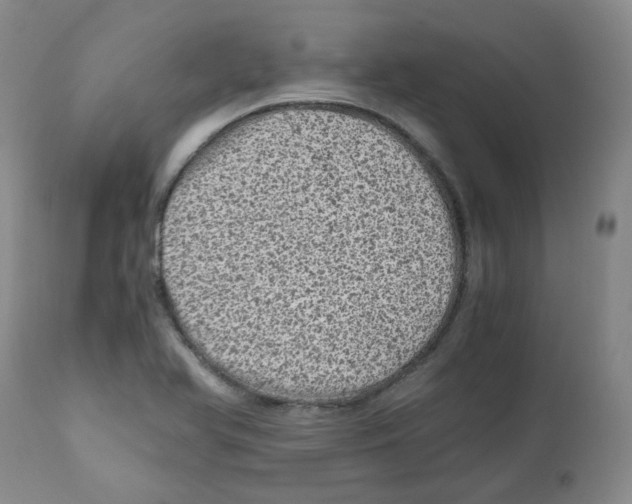 X0000110871366200907161428