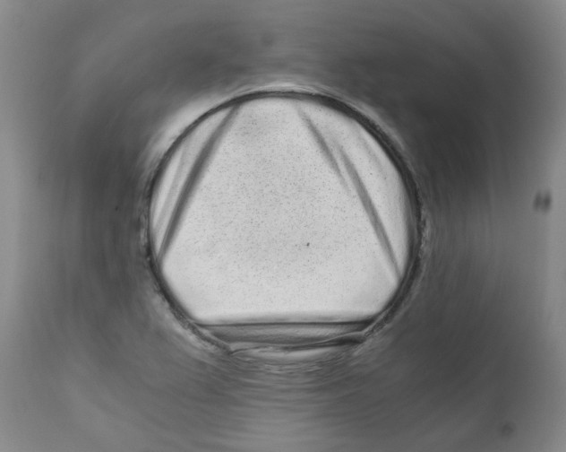 X0000110871367200907161428