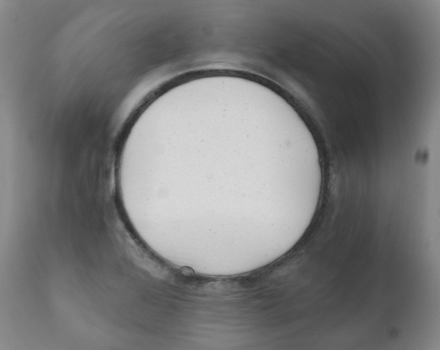 X0000110871368200907161428