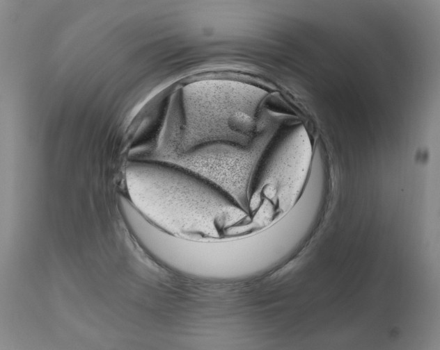 X0000110871369200907161428