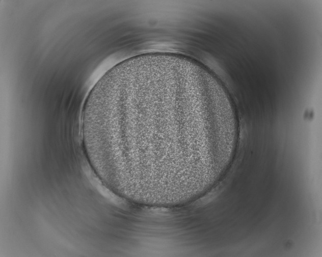 X0000110871370200907161428