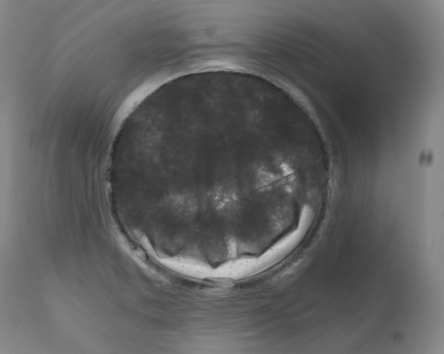 X0000110871373200907161428