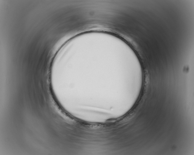 X0000110871375200907161428