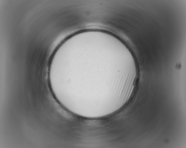 X0000110871376200907161428