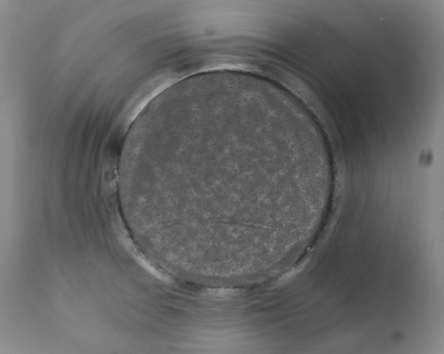 X0000110871377200907161428