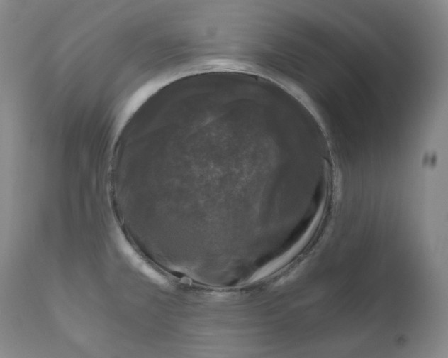 X0000110871381200907161428