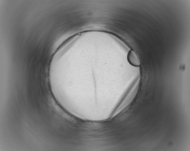 X0000110871382200907161428